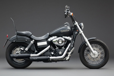 Penzl V2-Speed Endtöpfe Super Glide FXD